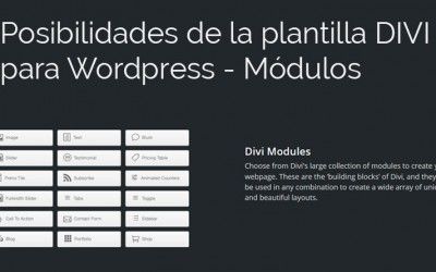 Módulos de la plantilla wordpress conocida como DIVI
