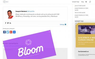 Slide-in o Fly-in – Alternativa al PopUp o ventana emergente menos agresiva – Cómo añadir Ventanas deslizantes, Fly ins o slide ins en WordPress con Bloom