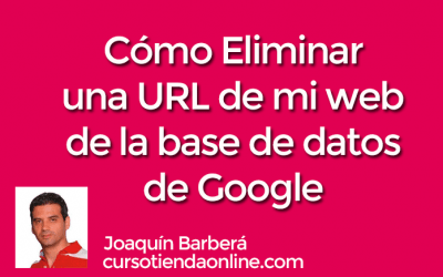 Cómo eliminar definitivamente una URL de mi sitio web de la base de datos de Google (Cómo “decirle” a Google que una URL ya no existe y no existirá)