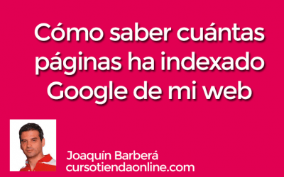 Cómo saber cuántas páginas ha indexado Google de mi sitio web
